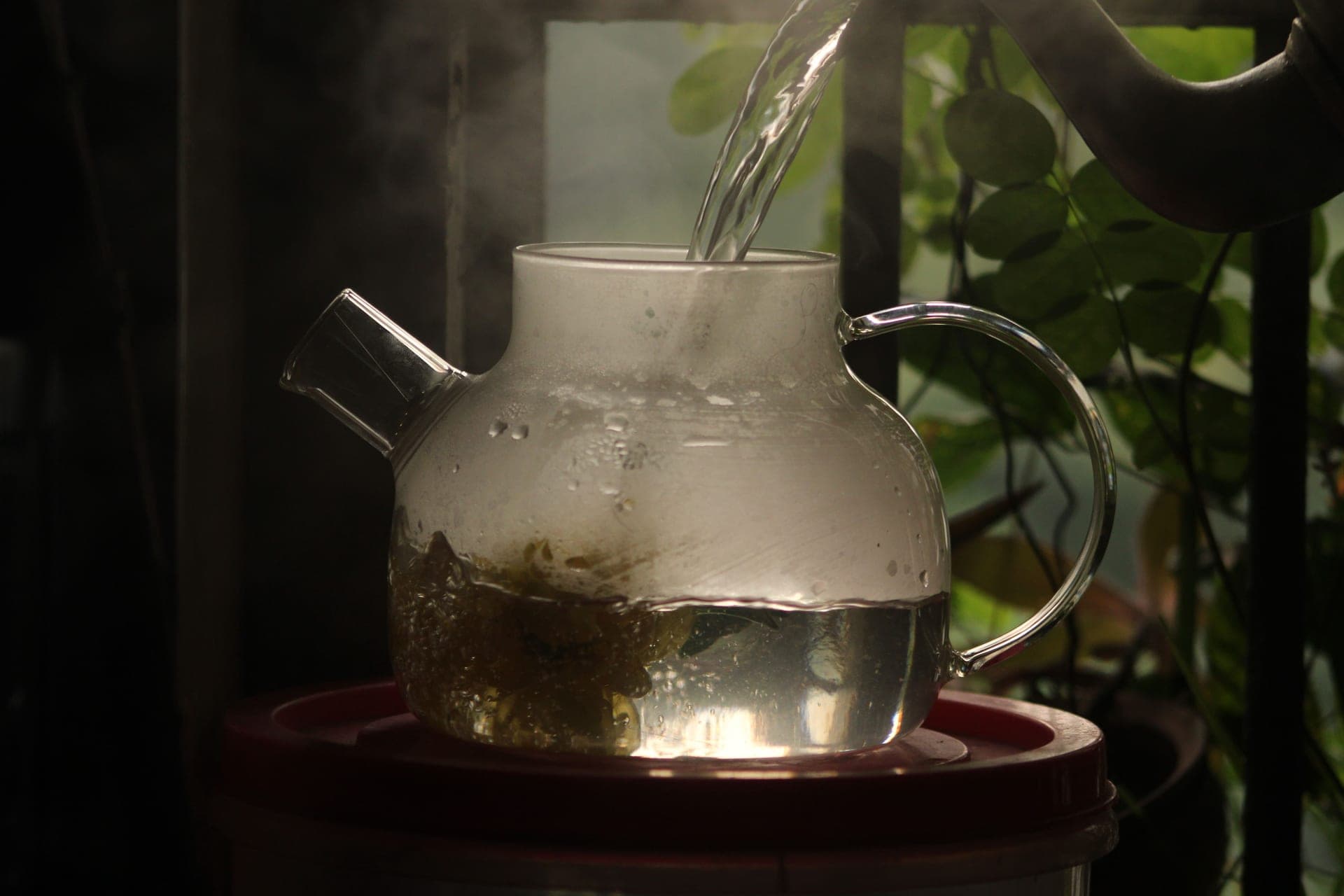 Steaming water being poured over green tea leaves